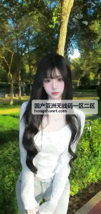 国产亚洲无线码一区二区高速专线技术架构图
